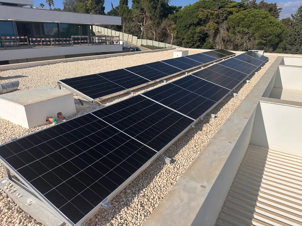 Duas filas de painéis solares em estrutura sobre uma cobertura plana, com um edifício e pinhal ao fundo.